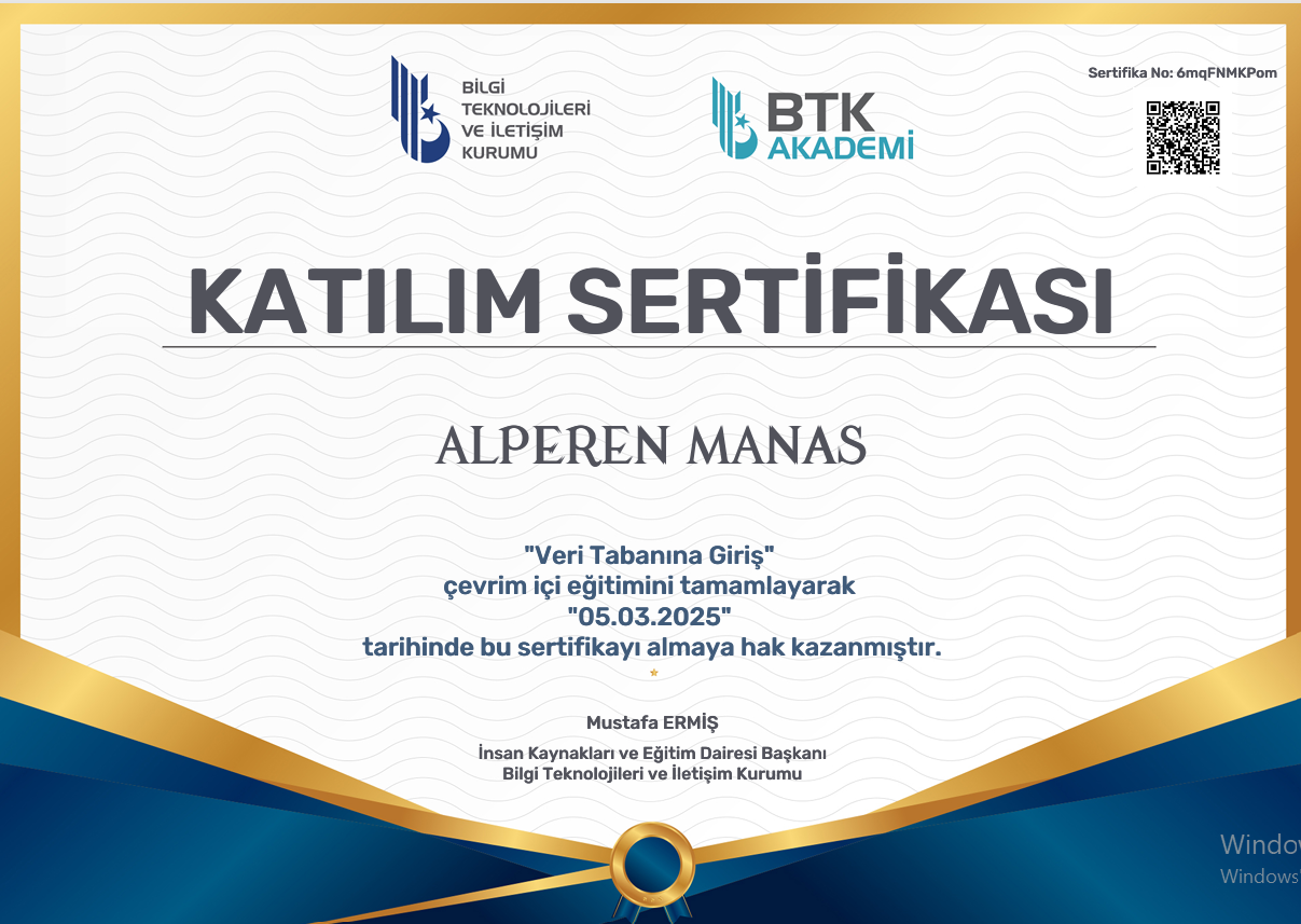 BTK Intro to Databases preview